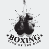 Boxing.jp logo