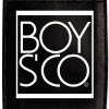 Boysco.com logo
