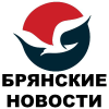 Bragazeta.ru logo