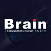 Brain.net.pk logo