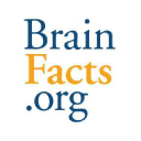 Brainfacts.org logo