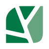 Brainwoods.com logo