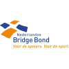 Bridge.nl logo