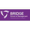 Bridgesom.com logo
