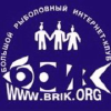 Brik.org logo