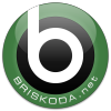 Briskoda.net logo