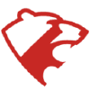 Bronegilet.ru logo