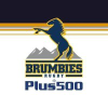 Brumbies.com.au logo