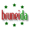 Bruneida.com logo