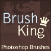 Brushking.eu logo