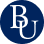 Bryanuniversity.edu logo