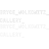 Brycewolkowitz.com logo