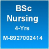 Bscnursingadmission.com logo