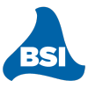 Bsiusa.com logo