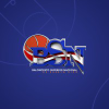 Bsnpr.com logo