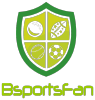 Bsportsfan.com logo