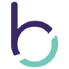 Btisinc.com logo