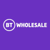 Btwholesale.com logo