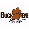 Buckeyepuppies.com logo