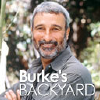 Burkesbackyard.com.au logo