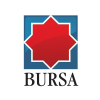 Bursa.ro logo