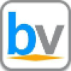 Businessvibes.com logo