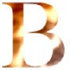 Bustic.ru logo