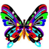 Butterflywonderland.com logo