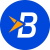 Buzzwebzine.fr logo