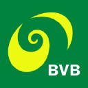 Bvb.ch logo