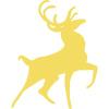 Cacciapassione.com logo