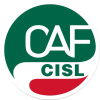Cafcisl.it logo