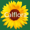 Calflora.org logo