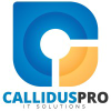 Calliduspro.com logo