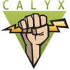 Calyxinstitute.org logo