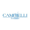 Cambielli.it logo