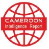 Cameroonintelligencereport.com logo