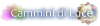Camminidiluce.net logo