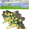 Campanialive.it logo