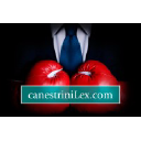 Canestrinilex.com logo