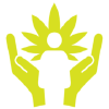 Cannabisvietnam.org logo