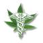 Cannmedical.org logo