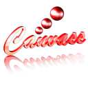 Canvass Software - India