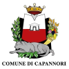 Capannori.lu.it logo