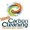 Carboncleaningusa.com logo