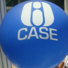 Case.org.sg logo