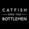 Catfishandthebottlemen.com logo