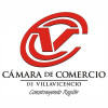 Ccv.org.co logo