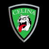 Celinaschools.org logo