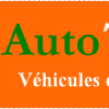 Centreautotogo.com logo